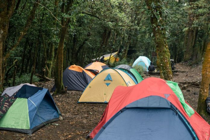 Electric Castle 2026: cum a transformat Persil rufele murdare intr-o poveste de festival