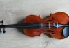 violin