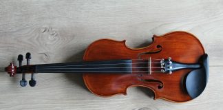 violin
