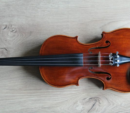 violin
