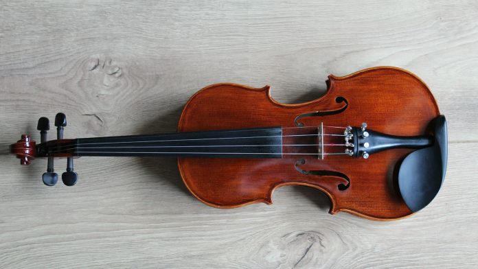 violin